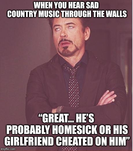 Face You Make Robert Downey Jr Meme | WHEN YOU HEAR SAD COUNTRY MUSIC THROUGH THE WALLS; “GREAT... HE’S PROBABLY HOMESICK OR HIS GIRLFRIEND CHEATED ON HIM” | image tagged in memes,face you make robert downey jr | made w/ Imgflip meme maker