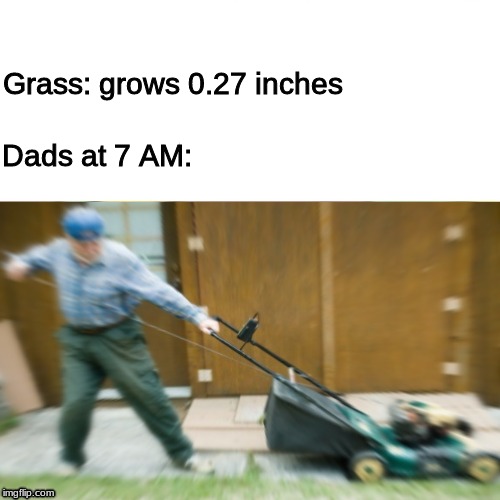 literally every saturday | Dads at 7 AM:; Grass: grows 0.27 inches | image tagged in dad joke | made w/ Imgflip meme maker