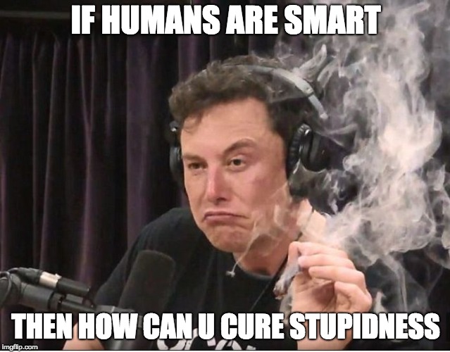 Elon Musk smoking a joint | IF HUMANS ARE SMART; THEN HOW CAN U CURE STUPIDNESS | image tagged in elon musk smoking a joint | made w/ Imgflip meme maker