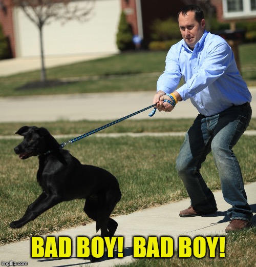 BAD BOY!  BAD BOY! | made w/ Imgflip meme maker