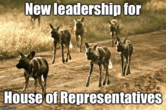 Pelosi’s Pack | New leadership for; House of Representatives | image tagged in memes,house of representatives,pack,leadership | made w/ Imgflip meme maker