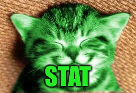 happy RayCat | STAT | image tagged in happy raycat | made w/ Imgflip meme maker