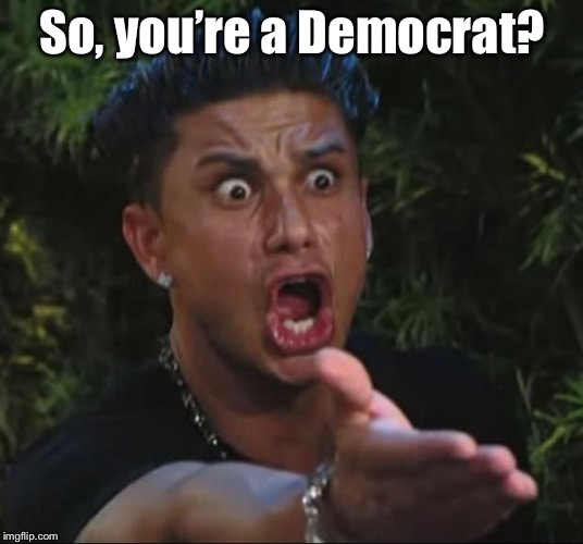 DJ Pauly D Meme | So, you’re a Democrat? | image tagged in memes,dj pauly d | made w/ Imgflip meme maker