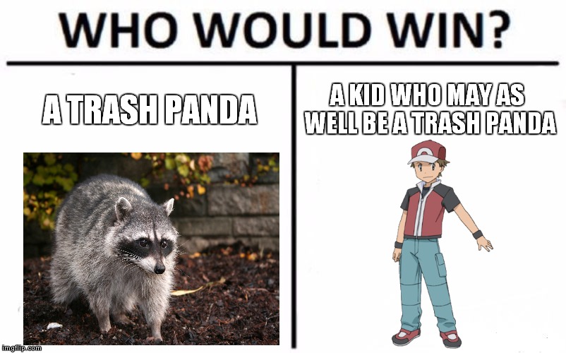 Because Pokemon Trainers Love Searching Through Trash Cans | A KID WHO MAY AS WELL BE A TRASH PANDA; A TRASH PANDA | image tagged in memes,who would win,pokemon,raccoon | made w/ Imgflip meme maker