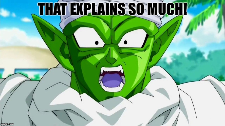 Piccolo That Explains Everything | THAT EXPLAINS SO MUCH! | image tagged in piccolo that explains everything | made w/ Imgflip meme maker