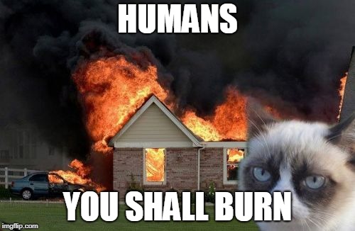 Burn Kitty Meme | HUMANS; YOU SHALL BURN | image tagged in memes,burn kitty,grumpy cat | made w/ Imgflip meme maker
