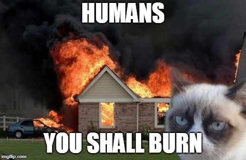 Burn Kitty | HUMANS; YOU SHALL BURN | image tagged in memes,burn kitty,grumpy cat | made w/ Imgflip meme maker