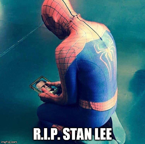 Spidey & Stan Lee | R.I.P. STAN LEE | image tagged in spiderman,marvel,marvel comics,stan lee,rip | made w/ Imgflip meme maker