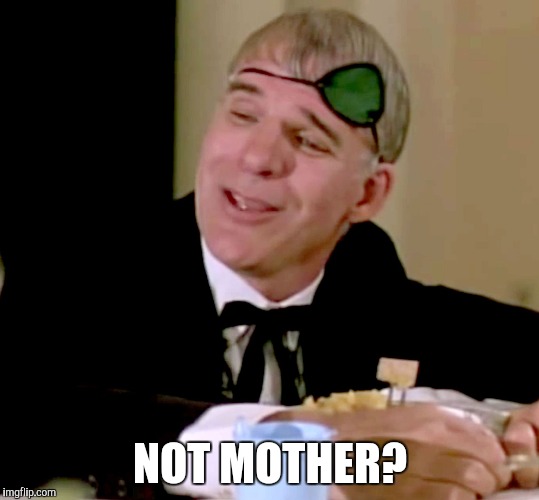 ruprecht_thankyou | NOT MOTHER? | image tagged in ruprecht_thankyou | made w/ Imgflip meme maker