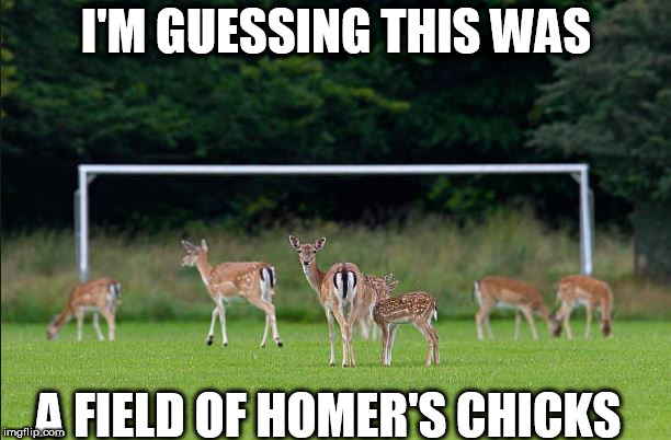 I'M GUESSING THIS WAS A FIELD OF HOMER'S CHICKS | made w/ Imgflip meme maker