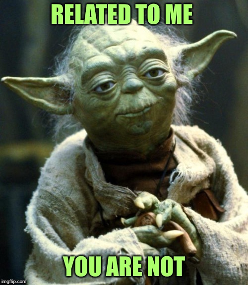 Star Wars Yoda Meme | RELATED TO ME YOU ARE NOT | image tagged in memes,star wars yoda | made w/ Imgflip meme maker