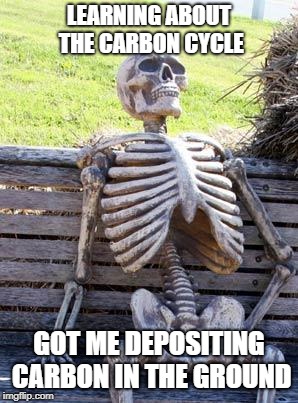 Waiting Skeleton | LEARNING ABOUT THE CARBON CYCLE; GOT ME DEPOSITING CARBON IN THE GROUND | image tagged in memes,waiting skeleton | made w/ Imgflip meme maker