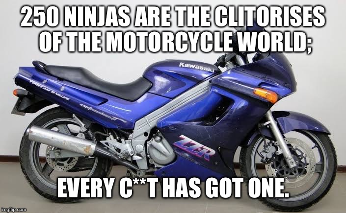 250 NINJAS ARE THE CLITORISES OF THE MOTORCYCLE WORLD;; EVERY C**T HAS GOT ONE. | image tagged in ninja 250 | made w/ Imgflip meme maker