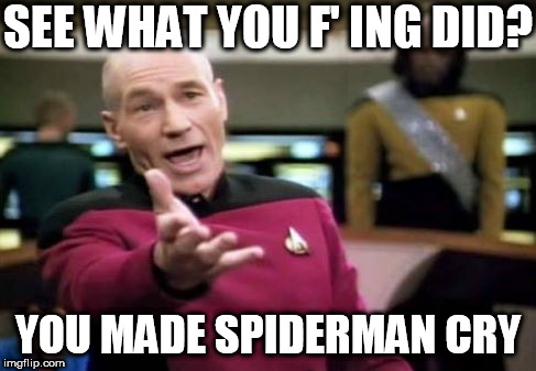 SEE WHAT YOU F' ING DID? YOU MADE SPIDERMAN CRY | made w/ Imgflip meme maker