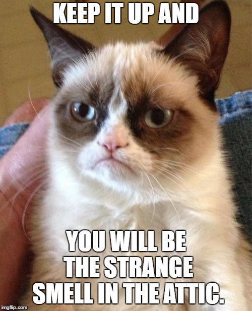Grumpy Cat | KEEP IT UP AND; YOU WILL BE THE STRANGE SMELL IN THE ATTIC. | image tagged in memes,grumpy cat,random,strange,wtf,attic | made w/ Imgflip meme maker