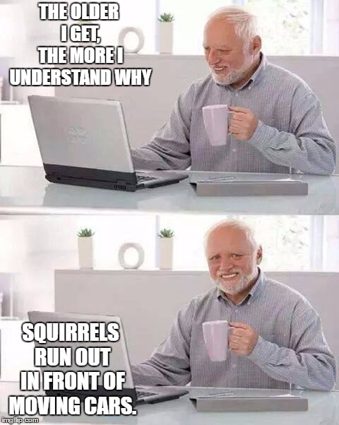 Hide the Pain Harold Meme | THE OLDER I GET, THE MORE I UNDERSTAND WHY; SQUIRRELS RUN OUT IN FRONT OF MOVING CARS. | image tagged in memes,hide the pain harold,random,squirrels,cars | made w/ Imgflip meme maker