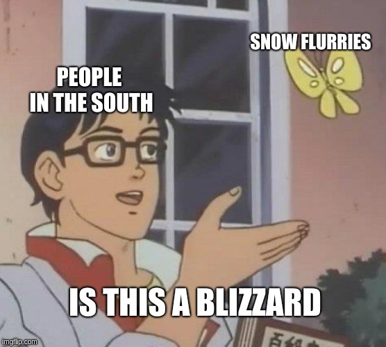 Is This A Pigeon | SNOW FLURRIES; PEOPLE IN THE SOUTH; IS THIS A BLIZZARD | image tagged in memes,is this a pigeon | made w/ Imgflip meme maker