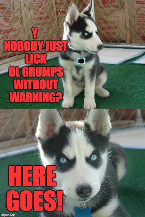 Insanity Puppy Meme | Y NOBODY JUST LICK OL GRUMPS WITHOUT WARNING? HERE GOES! | image tagged in memes,insanity puppy | made w/ Imgflip meme maker
