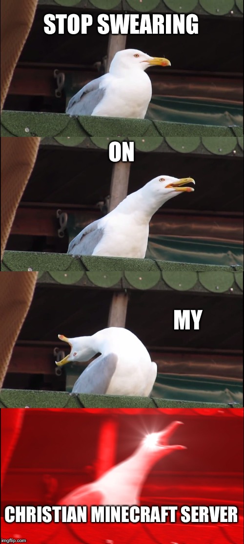 Inhaling Seagull | STOP SWEARING; ON; MY; CHRISTIAN MINECRAFT SERVER | image tagged in memes,inhaling seagull | made w/ Imgflip meme maker