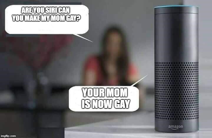 Alexa do X | ARE YOU SIRI CAN YOU MAKE MY MOM GAY? YOUR MOM IS NOW GAY | image tagged in alexa do x | made w/ Imgflip meme maker