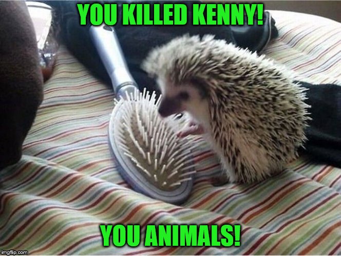 YOU KILLED KENNY! YOU ANIMALS! | made w/ Imgflip meme maker