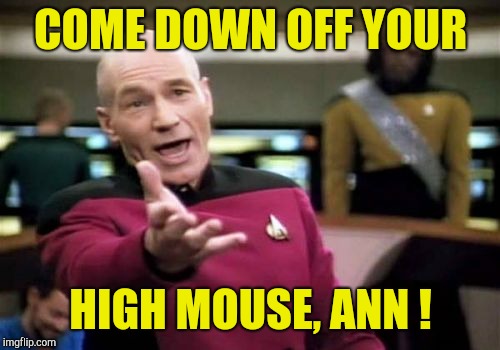 Picard Wtf Meme | COME DOWN OFF YOUR HIGH MOUSE, ANN ! | image tagged in memes,picard wtf | made w/ Imgflip meme maker