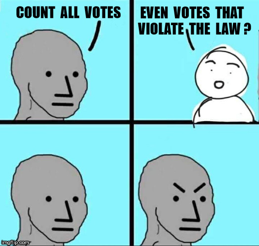 EffTheLaw | EVEN  VOTES  THAT  VIOLATE  THE  LAW ? COUNT  ALL  VOTES | image tagged in npc meme | made w/ Imgflip meme maker