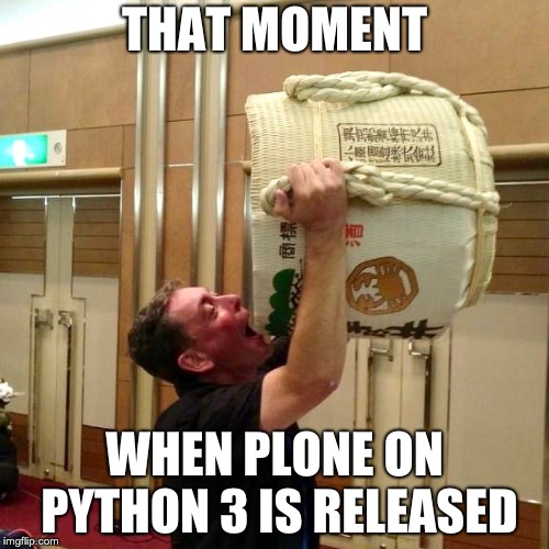 THAT MOMENT; WHEN PLONE ON PYTHON 3 IS RELEASED | made w/ Imgflip meme maker