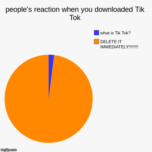people's reaction when you downloaded Tik Tok | DELETE IT IMMEDIATELY!!!!!!!!, what is Tik Tok? | image tagged in funny,pie charts | made w/ Imgflip chart maker