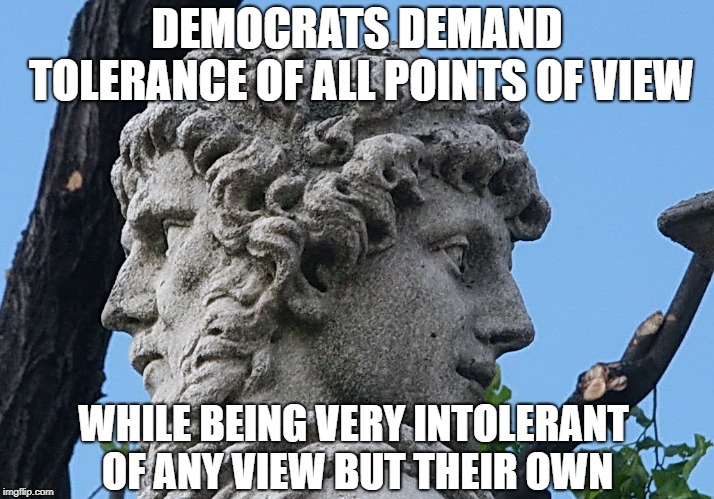 The Janus complex | DEMOCRATS DEMAND TOLERANCE OF ALL POINTS OF VIEW; WHILE BEING VERY INTOLERANT OF ANY VIEW BUT THEIR OWN | image tagged in democrats,fascists,nazis | made w/ Imgflip meme maker
