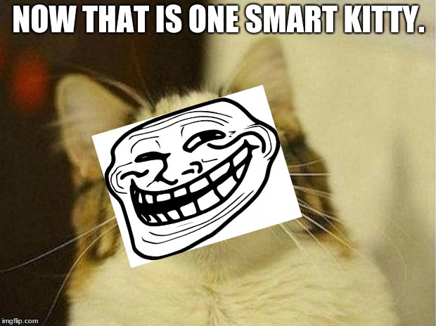 Scared Cat Meme | NOW THAT IS ONE SMART KITTY. | image tagged in memes,scared cat | made w/ Imgflip meme maker