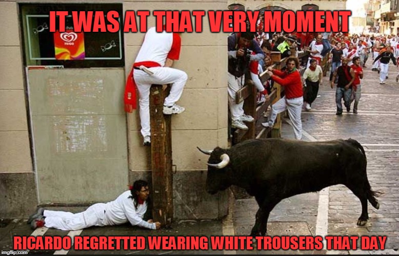 Being Bull-ied | image tagged in pamplona,running of the bulls,idiots | made w/ Imgflip meme maker