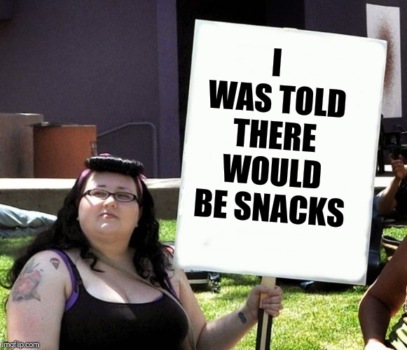 sjw with sign | I WAS TOLD THERE WOULD BE SNACKS | image tagged in sjw with sign | made w/ Imgflip meme maker