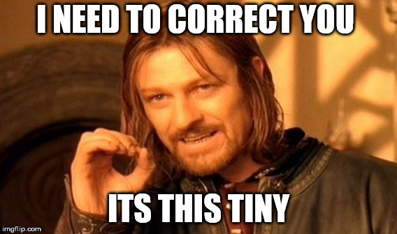 One Does Not Simply Meme | I NEED TO CORRECT YOU ITS THIS TINY | image tagged in memes,one does not simply | made w/ Imgflip meme maker