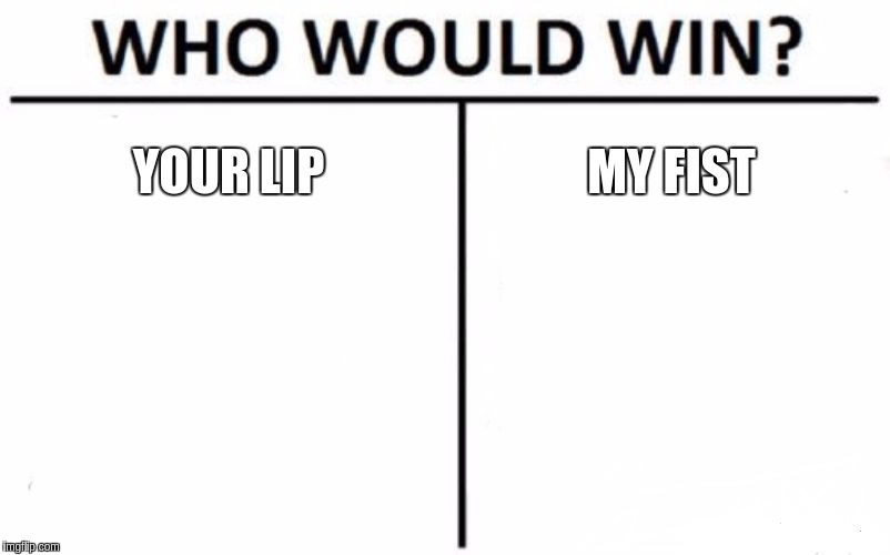 Who Would Win? | YOUR LIP; MY FIST | image tagged in memes,who would win | made w/ Imgflip meme maker
