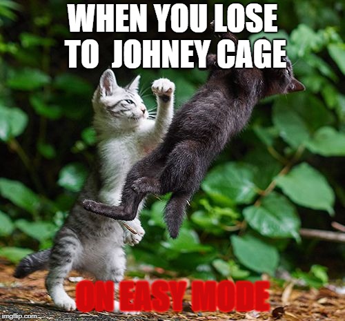 Mortal Kombat | WHEN YOU LOSE TO  JOHNEY CAGE; ON EASY MODE | image tagged in mortal kombat | made w/ Imgflip meme maker
