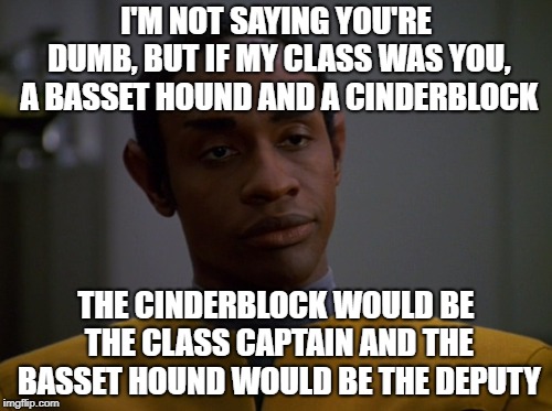 Tuvok | I'M NOT SAYING YOU'RE DUMB, BUT IF MY CLASS WAS YOU, A BASSET HOUND AND A CINDERBLOCK; THE CINDERBLOCK WOULD BE THE CLASS CAPTAIN AND THE BASSET HOUND WOULD BE THE DEPUTY | image tagged in tuvok | made w/ Imgflip meme maker