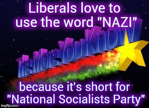 Childish insults are childish | Liberals love to use the word "NAZI"; because it's short for "National Socialists Party" | image tagged in the more you know,nevertrump,simple,brains,non binary,partisanship | made w/ Imgflip meme maker