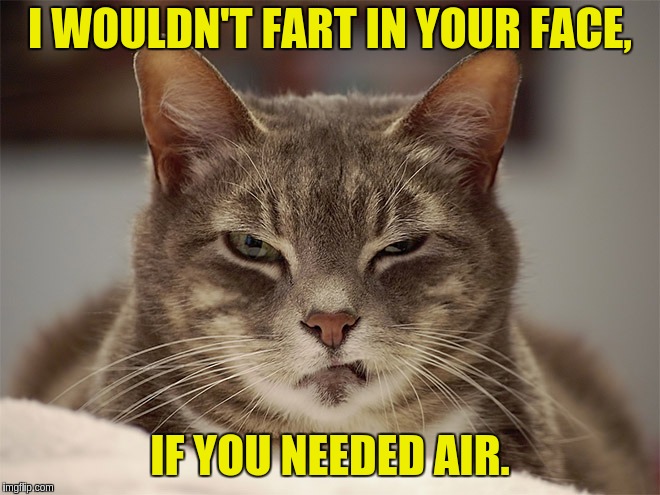 Angry Cat | I WOULDN'T FART IN YOUR FACE, IF YOU NEEDED AIR. | image tagged in angry cat | made w/ Imgflip meme maker