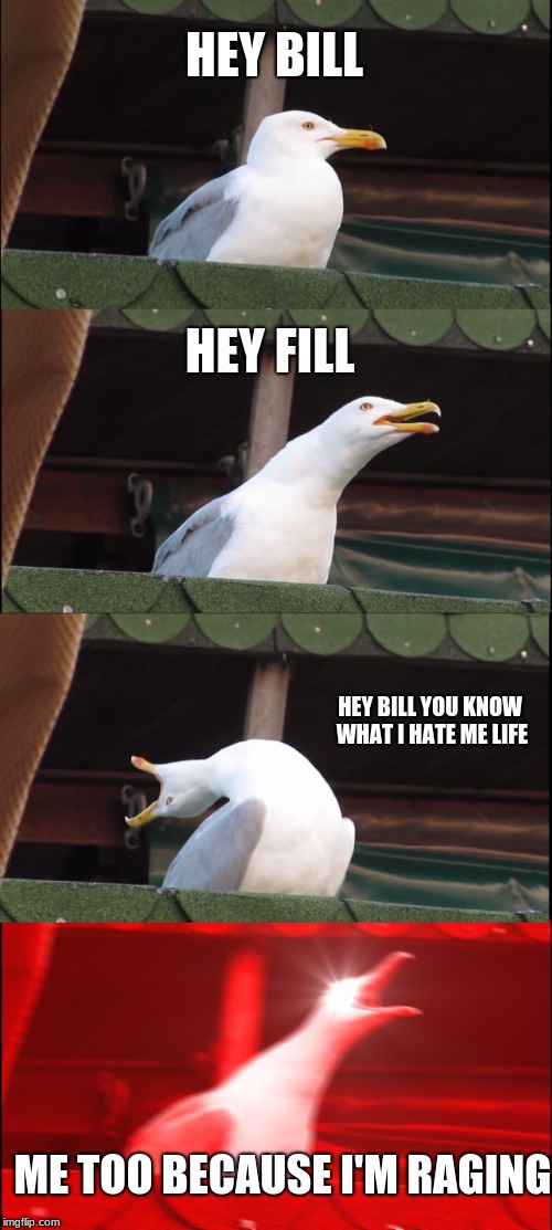 Inhaling Seagull Meme | HEY BILL; HEY FILL; HEY BILL YOU KNOW WHAT I HATE ME LIFE; ME TOO BECAUSE I'M RAGING | image tagged in memes,inhaling seagull | made w/ Imgflip meme maker