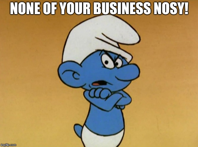 Grouchy Smurf | NONE OF YOUR BUSINESS NOSY! | image tagged in grouchy smurf | made w/ Imgflip meme maker