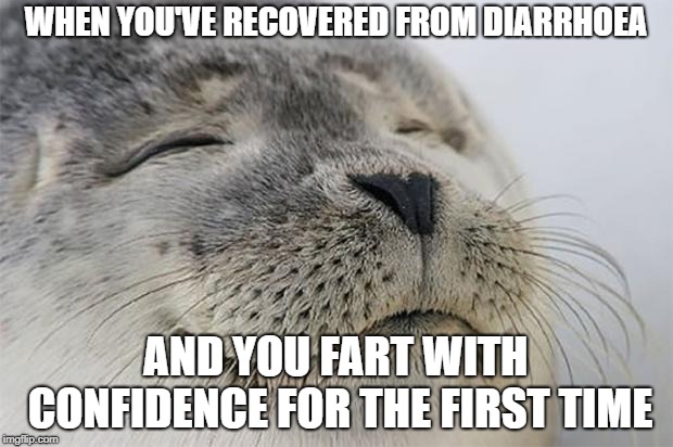 Satisfied Seal Meme | WHEN YOU'VE RECOVERED FROM DIARRHOEA; AND YOU FART WITH CONFIDENCE FOR THE FIRST TIME | image tagged in memes,satisfied seal,AdviceAnimals | made w/ Imgflip meme maker
