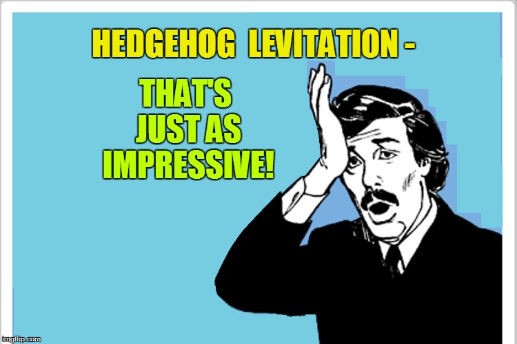 HEDGEHOG  LEVITATION - THAT'S JUST AS IMPRESSIVE! | made w/ Imgflip meme maker