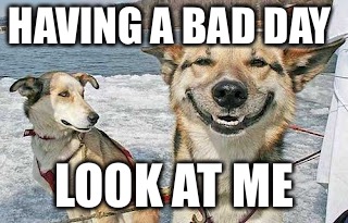 Original Stoner Dog | HAVING A BAD DAY; LOOK AT ME | image tagged in memes,original stoner dog | made w/ Imgflip meme maker