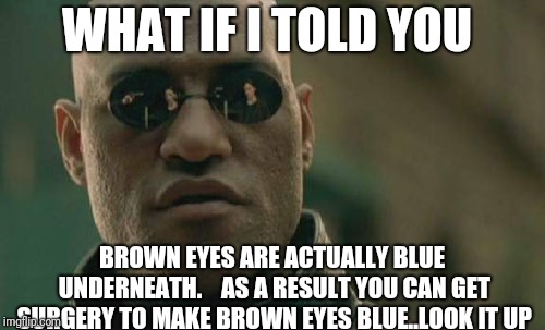 Matrix Morpheus | WHAT IF I TOLD YOU; BROWN EYES ARE ACTUALLY BLUE UNDERNEATH.    AS A RESULT YOU CAN GET SURGERY TO MAKE BROWN EYES BLUE..LOOK IT UP | image tagged in memes,matrix morpheus | made w/ Imgflip meme maker