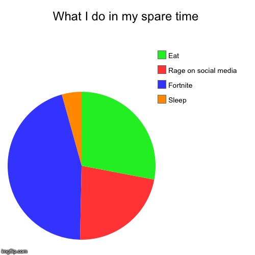 What I do in my spare time | Sleep, Fortnite , Rage on social media, Eat | image tagged in funny,pie charts | made w/ Imgflip chart maker