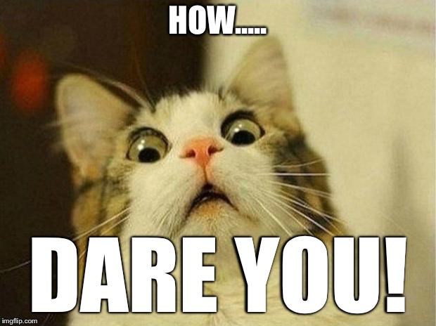 Scared Cat Meme | HOW..... DARE YOU! | image tagged in memes,scared cat | made w/ Imgflip meme maker