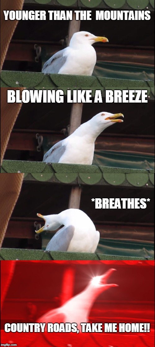 Inhaling Seagull Meme | YOUNGER THAN THE  MOUNTAINS; BLOWING LIKE A BREEZE; *BREATHES*; COUNTRY ROADS, TAKE ME HOME!! | image tagged in memes,inhaling seagull | made w/ Imgflip meme maker