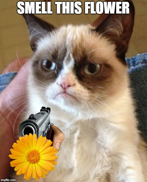 Grumpy Cat Meme | SMELL THIS FLOWER | image tagged in memes,grumpy cat | made w/ Imgflip meme maker