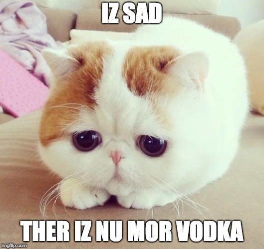 Sad Cat | IZ SAD; THER IZ NU MOR VODKA | image tagged in sad cat | made w/ Imgflip meme maker